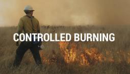 controlled burning