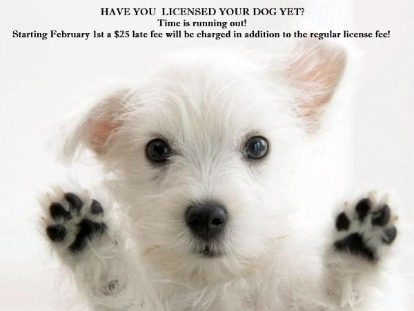 Have you registered your dog yet?
