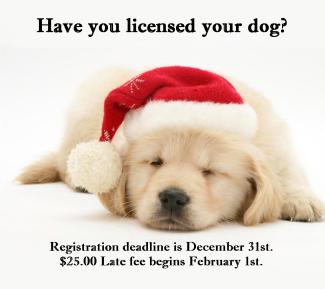 have you licensed your dog yet?