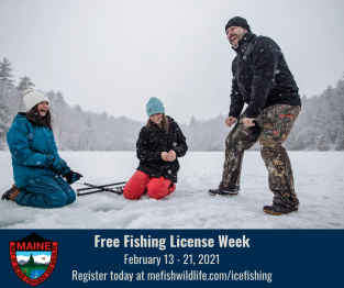 free fishing license