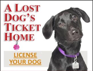dog licenses available October 16th