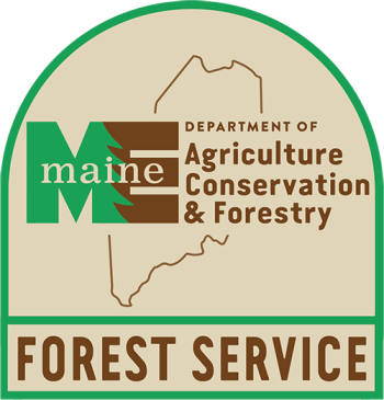 maine forest service