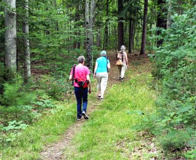 FOREST MINDFULNESS WALK AT SKYLINE FARM WILL BE HELD ON SATURDAY, JULY 10th 