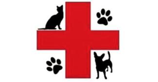 pet first aid class