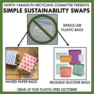 simple sustainability swaps plastic bags