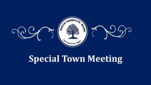 special town meeting January 28, 2021