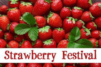 STRAWBERRY FESTIVAL