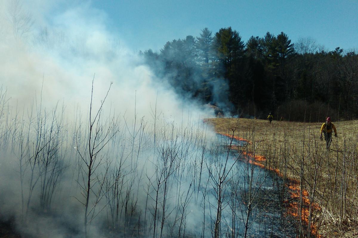 Training Burn with Pownal Fire, Maine Forest Service, and North Yarmouth Fire Rescue on Lawerance Rd in Pownal on 04/14/2016
