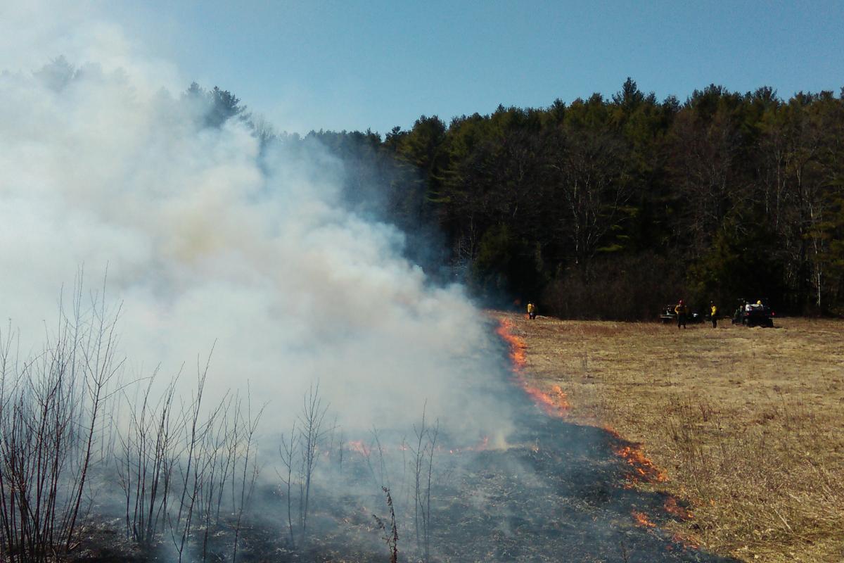 Training Burn with Pownal Fire, Maine Forest Service, and North Yarmouth Fire Rescue on Lawerance Rd in Pownal on 04/14/2016