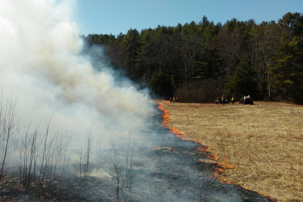 Training Burn with Pownal Fire, Maine Forest Service, and North Yarmouth Fire Rescue on Lawerance Rd in Pownal on 04/14/2016