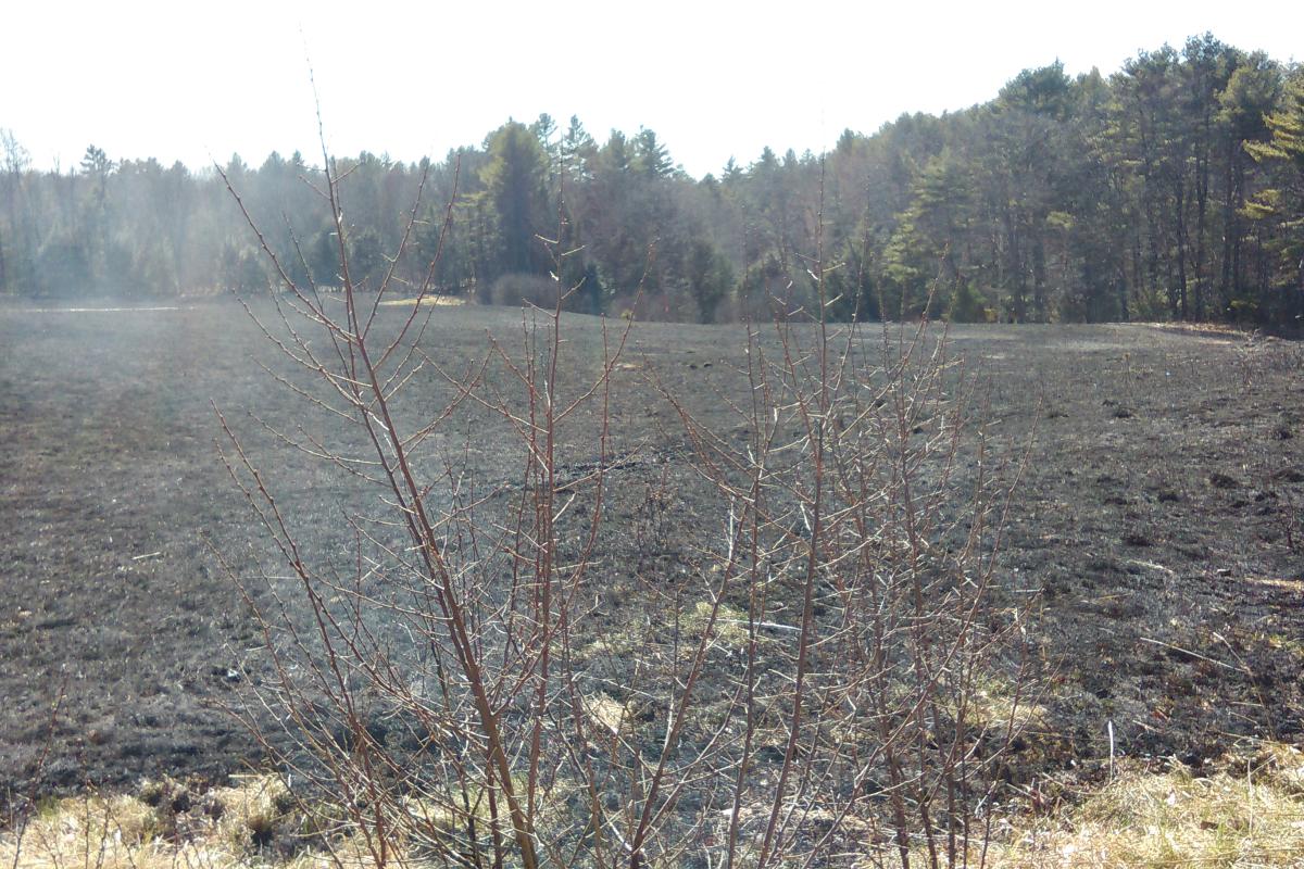 Training Burn with Pownal Fire, Maine Forest Service, and North Yarmouth Fire Rescue on Lawerance Rd in Pownal on 04/14/2016. 4 Acres completed for Bradbury Mountain