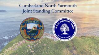 joint standing committee