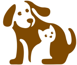 dog and cat