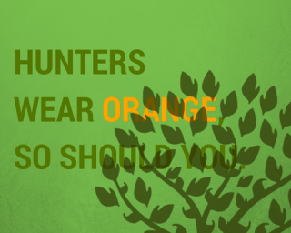 Hunters wear oranage so should ou