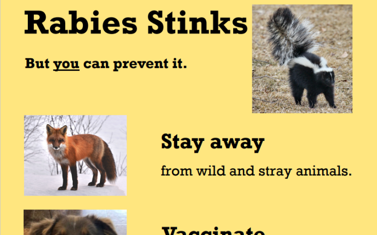Rabies Stinks