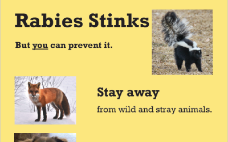 rabies stinks
