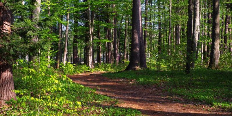 Sam Ristich Trail